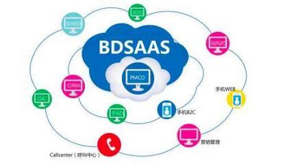 SaaS系统基于传统软件管理的发展战略