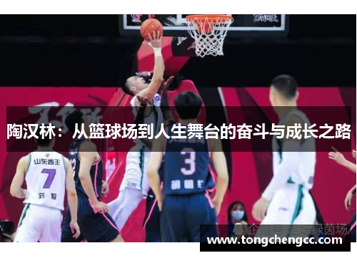 陶汉林:从篮球场到人生舞台的奋斗与成长之路